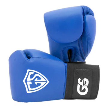 GS Sports Premium Leather Boxing Gloves - Professional Training Gear
